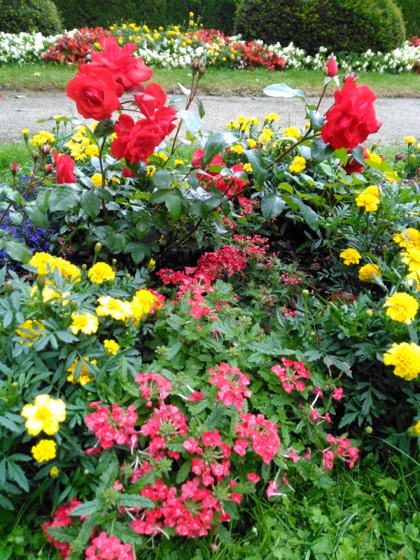 IMG_20160715_102202